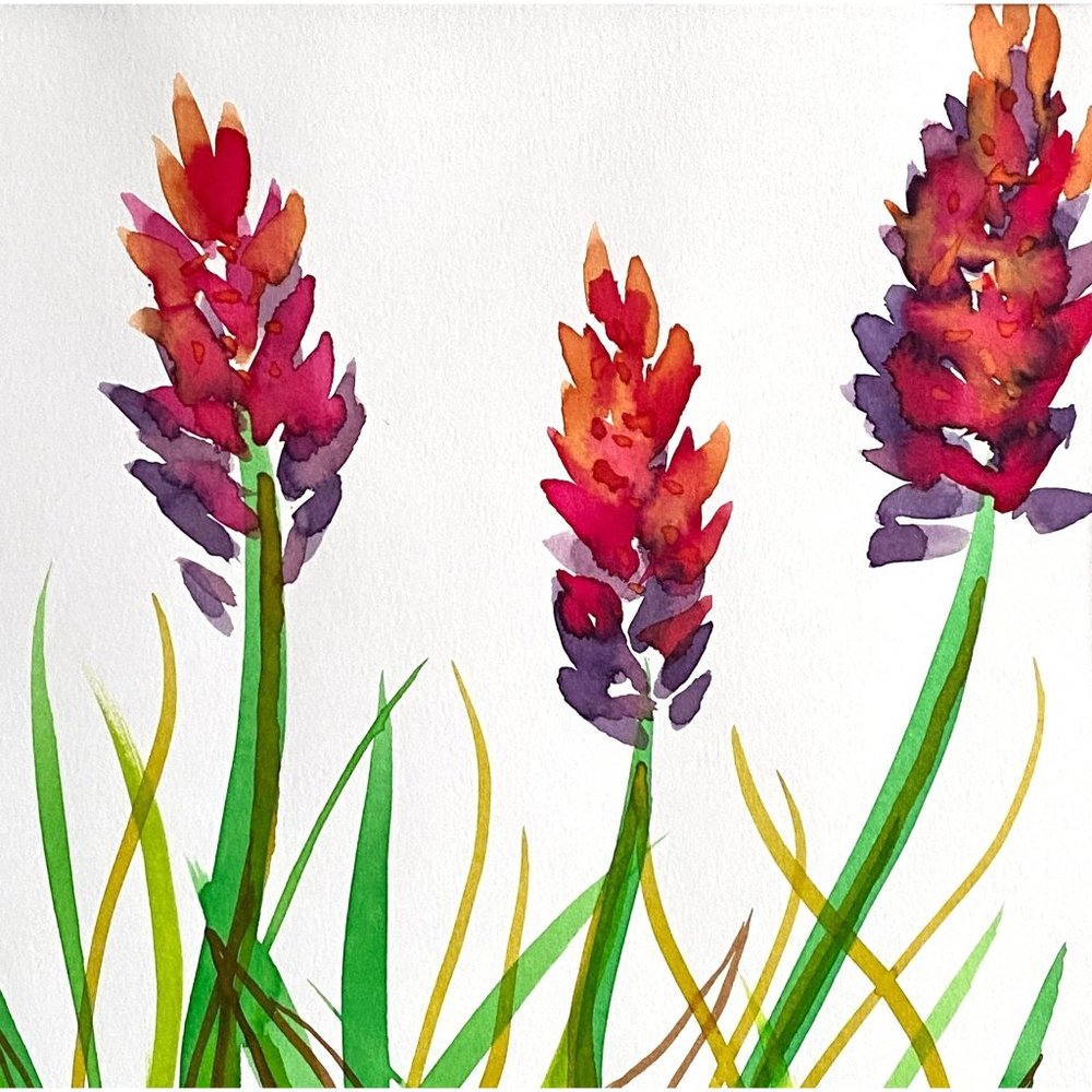 Summer Canna 2 - Original Wall Art Watercolor Painting Matted Frame Ready 11”x14